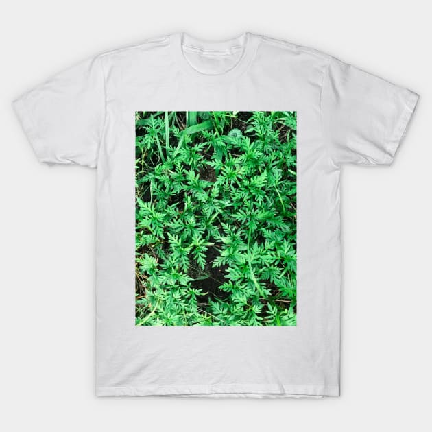 Grass (Yellow cosmos) texture background (greener) T-Shirt by FOGSJ